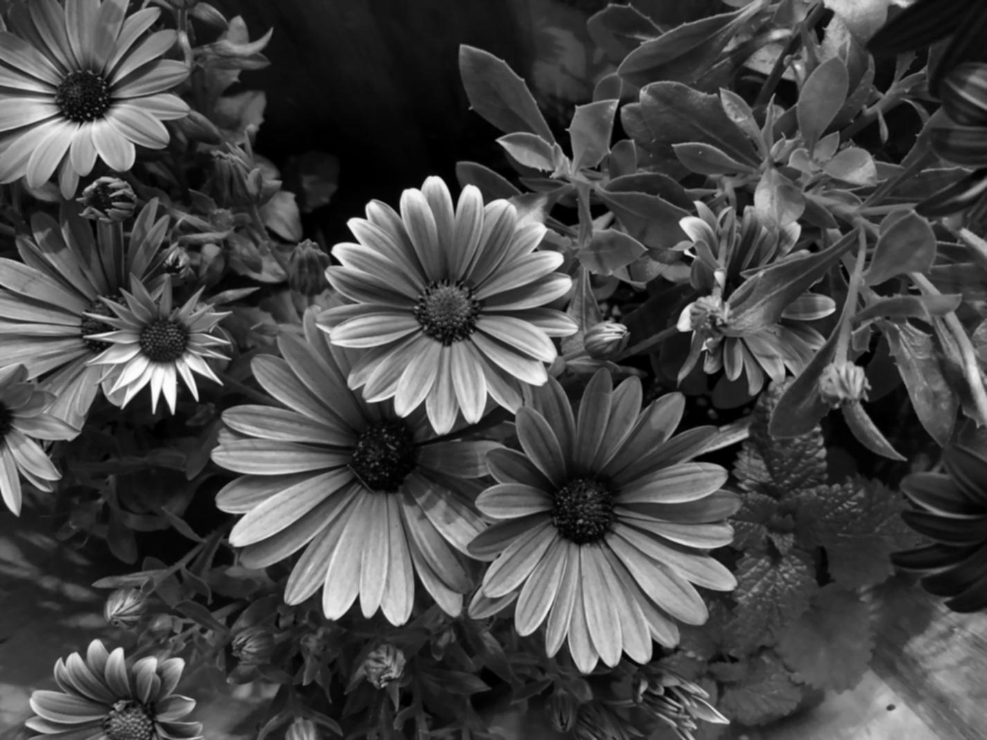 Professional floral arrangement consultation process showing detailed planning and creative flower composition design
